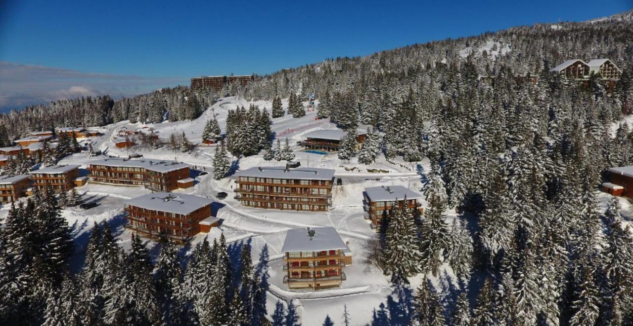 Charmant Appartement Confortable Pour 6 Personnes 40M2 Pied Pistes, Piscine, Wifi, Parking Chamrousse Exterior foto